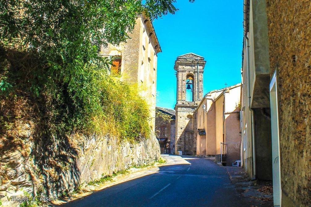 9 Rue De La Traverse Stazzona Luaran gambar